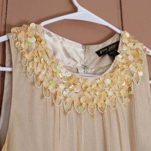 Silk Roaring 20s Flapper Dress